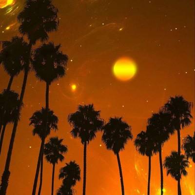 宝威体育官方app下载截图